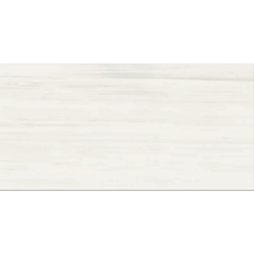 Picture of Gazzini - Dolomite 12 x 24 White Matte