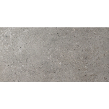 Picture of Argenta Ceramica - Icon Argent