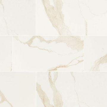 Picture of MS International - Eden 24 x 48 Matte Calacatta