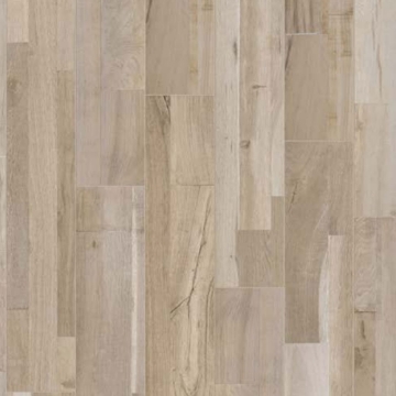 Picture of Viva - 300 Back