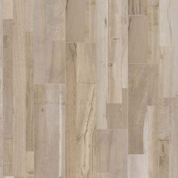 Picture of Viva - 300 Back