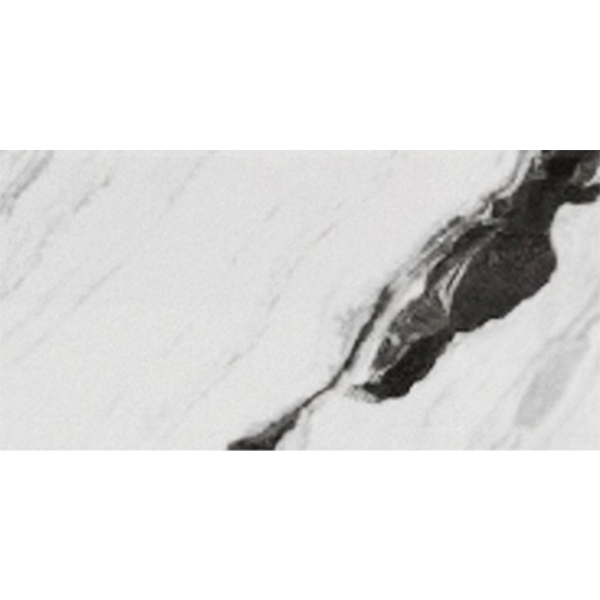 Picture of Eleganza Tiles - Panda 12 x 24 Wave Matte