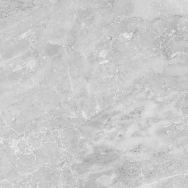 Picture of Anatolia Tile & Stone - Plata 24 x 24 Perla Grigia Matte