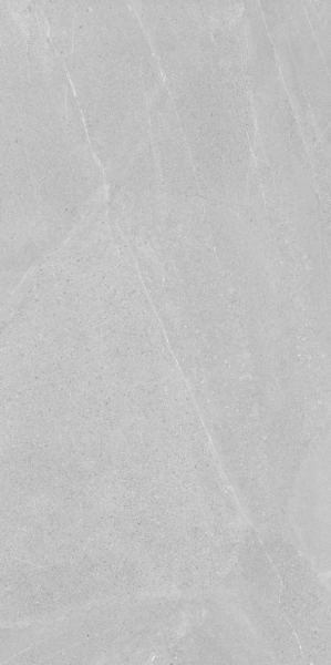 Picture of Elysium - Madison 24 x 48 Argent