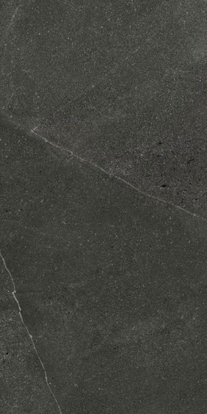 Picture of Elysium - Madison 24 x 48 Grafito