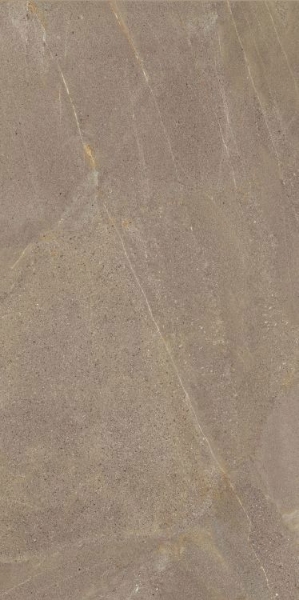 Picture of Elysium - Madison 24 x 48 Noce