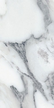 Picture of Elysium - Origines 12 x 24 Matte Argent