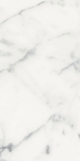 Picture of Elysium - Origines 12 x 24 Matte Blanc