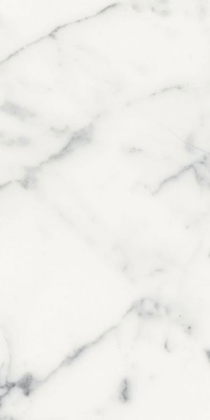 Picture of Elysium - Origines 12 x 24 Matte Blanc