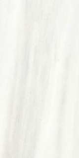 Picture of Elysium - Origines 12 x 24 Matte Ombre Doree