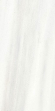 Picture of Elysium - Origines 12 x 24 Matte Ombre Doree