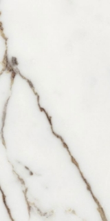 Picture of Elysium - Origines 12 x 24 Matte Or