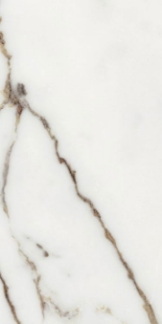 Picture of Elysium - Origines 12 x 24 Matte Or