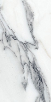 Picture of Elysium - Origines 12 x 24 Glossy Argent