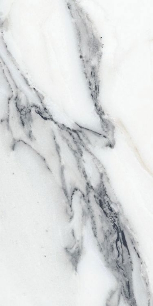 Picture of Elysium - Origines 12 x 24 Glossy Argent