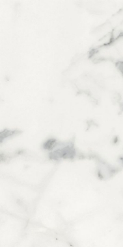 Picture of Elysium - Origines 12 x 24 Glossy Blanc