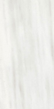 Picture of Elysium - Origines 12 x 24 Glossy Ombre Doree