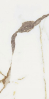 Picture of Elysium - Origines 12 x 24 Glossy Or