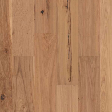 Picture of Shaw Builder - Majestic Pecan Harvest