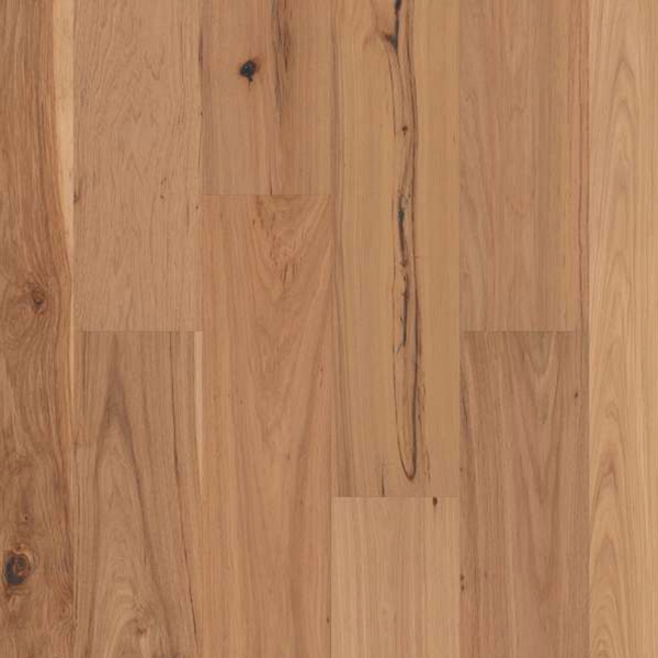 Picture of Shaw Builder - Majestic Pecan Harvest