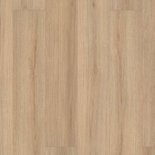 Picture of Shaw Builder - Emergence Plus Blaze