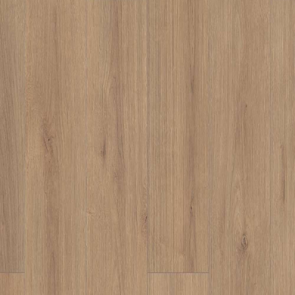 Picture of Shaw Builder - Emergence Plus Dawn