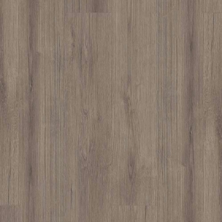 Picture of Shaw Builder - Emergence Plus Kismet