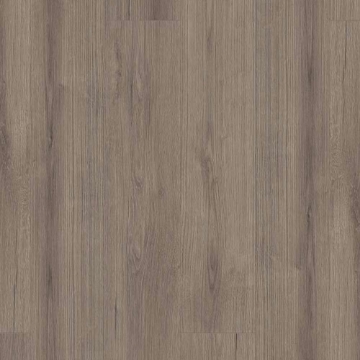 Picture of Shaw Builder - Emergence Plus Kismet