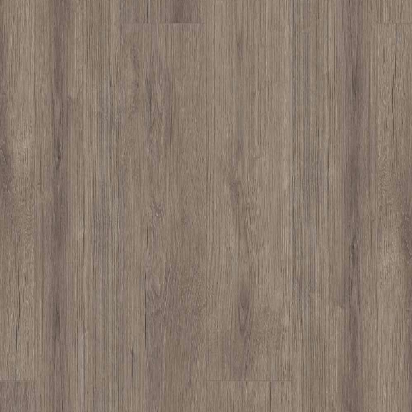 Picture of Shaw Builder - Emergence Plus Kismet