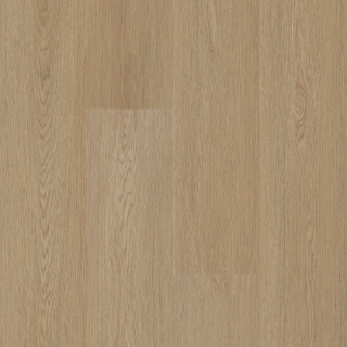 Picture of Shaw Floors - Aspire Natural Bevel Nomadic Brown