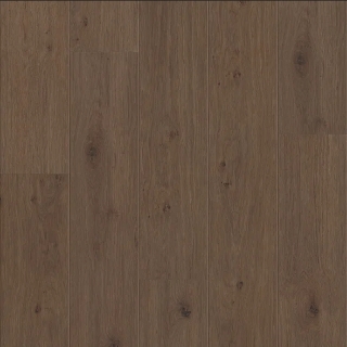 Picture of Shaw Floors - Fresh Take Tuxedo Bronze