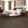 Picture of Mohawk - TecWood Select Cascade Hills Sonora Hickory
