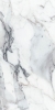Picture of Elysium - Origines 24 x 48 Matte Argent
