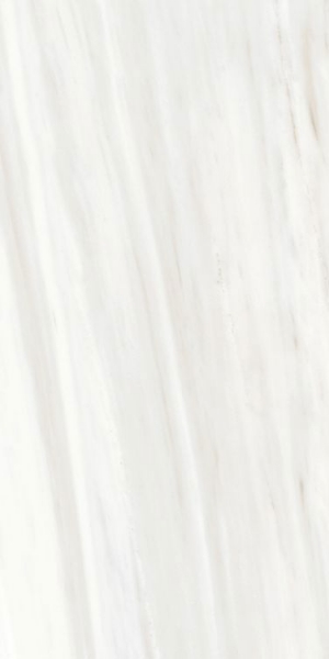 Picture of Elysium - Origines 24 x 48 Matte Ombre Doree