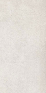 Picture of Elysium - Plain 12 x 24 Mist