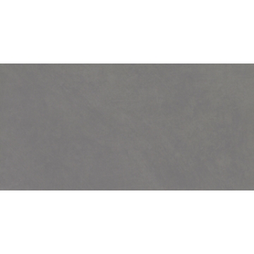 Picture of Emser Tile - Citizen 12 x 24 Matte Subject