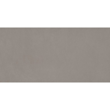 Picture of Emser Tile - Citizen 12 x 24 Matte Resident