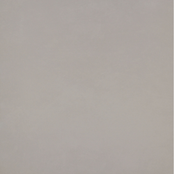 Picture of Emser Tile - Citizen 24 x 24 Matte Public