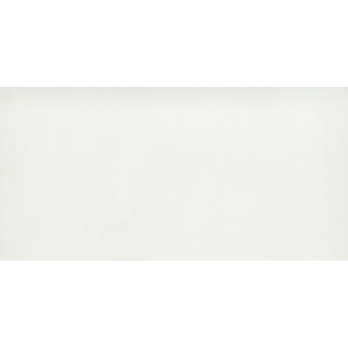 Picture of Emser Tile - Citizen 24 x 48 Matte Civilian