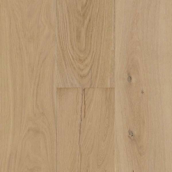 Picture of Robbins - Coastside 7.5 La Jolla Shores