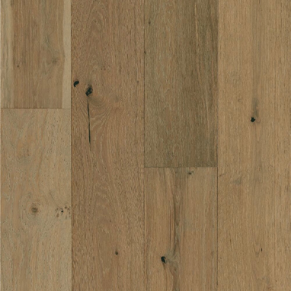 Picture of Robbins - Nature's Canvas Gold Pastel Impression Oak