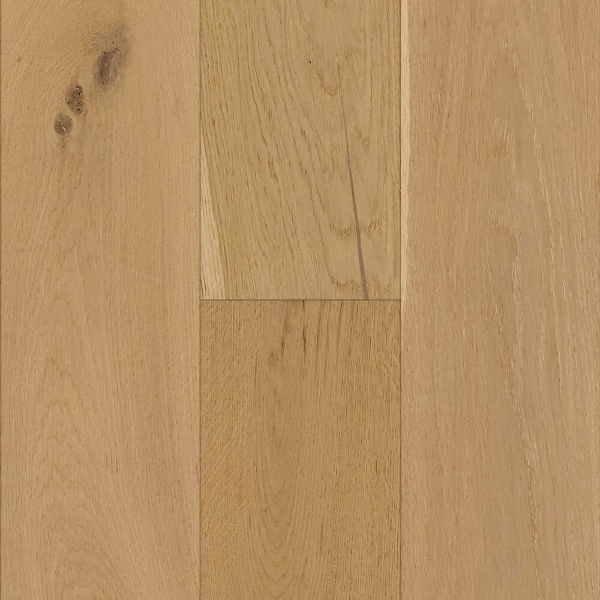 Picture of Robbins - Noble's Way San Antone