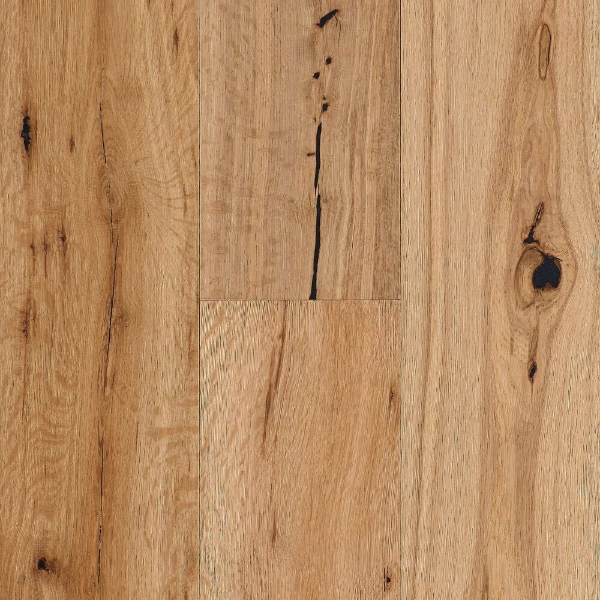 Picture of Robbins - Sheridan Trail Natural