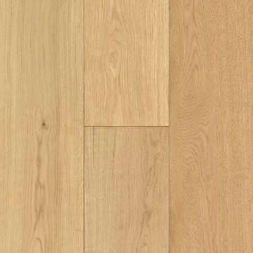 Picture of Robbins - Seaboard Cape May