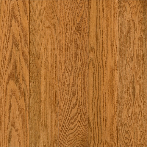 Picture of Robbins - Natural Forest Smooth Oak 3.25 Butterscotch