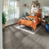 Picture of Robbins - Natural Forest Smooth Oak 4 Understated Gray