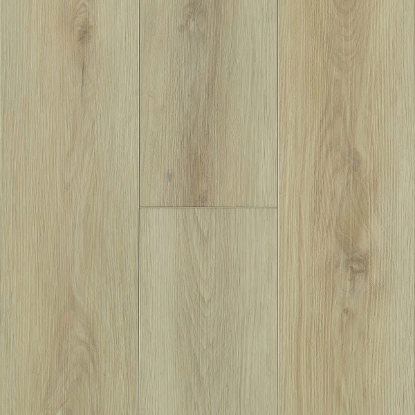 Picture of Robbins - Pro-Tekt Classic Pro Mindful Pale