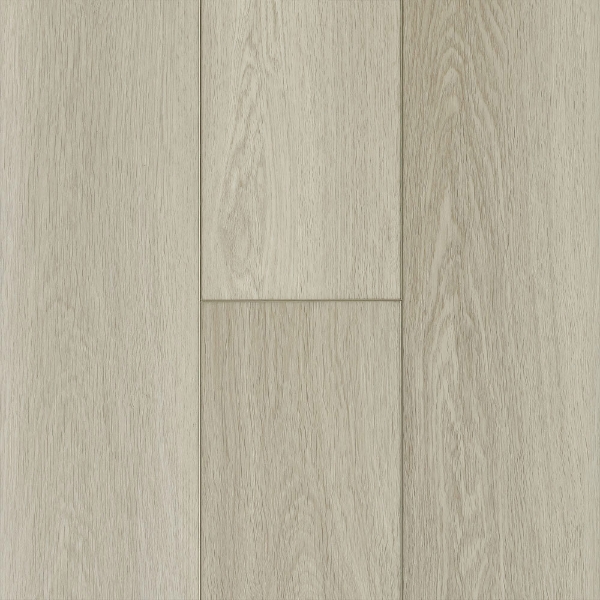 Picture of Robbins - Pro-Tekt Trending Barely There