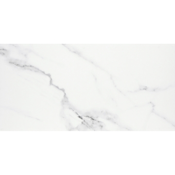 Picture of Emser Tile - Contessa 24 x 47 Matte Dama