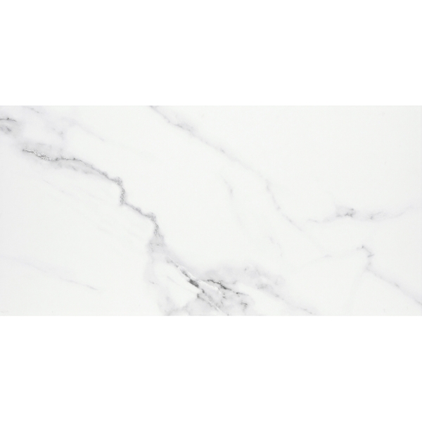 Picture of Emser Tile - Contessa 24 x 47 Matte Dama